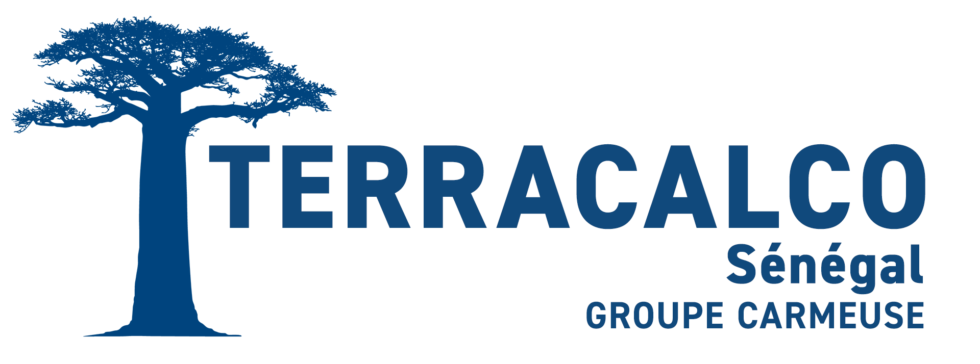 Logo de Terracalco